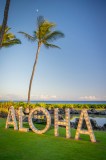 Lit 'Aloha' sign on grass with palm trees and ocean under a clear sky.